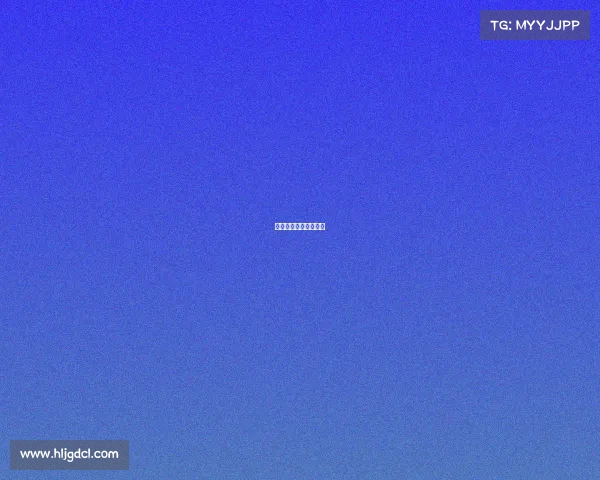 上海今天的赛事有哪些